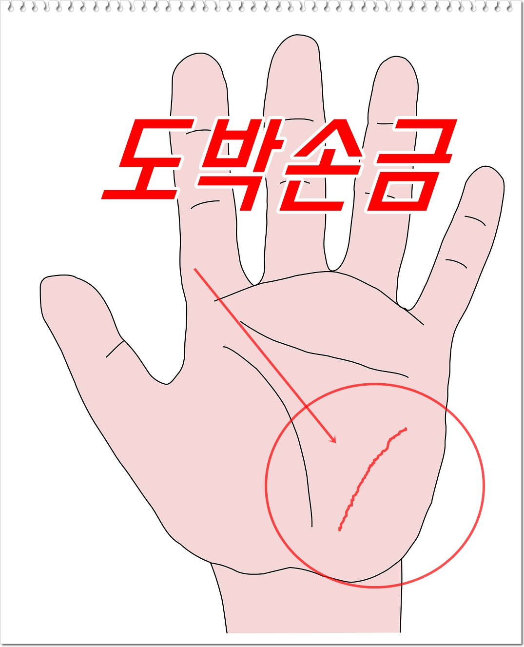  도박운이 강한  손금
