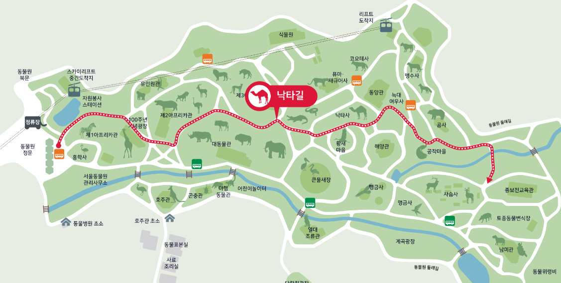 서울대공원-동물원-인기코스-낙타길