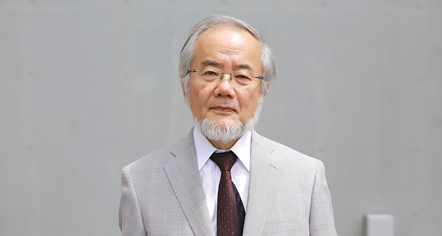  간헐적단식이론의 유래