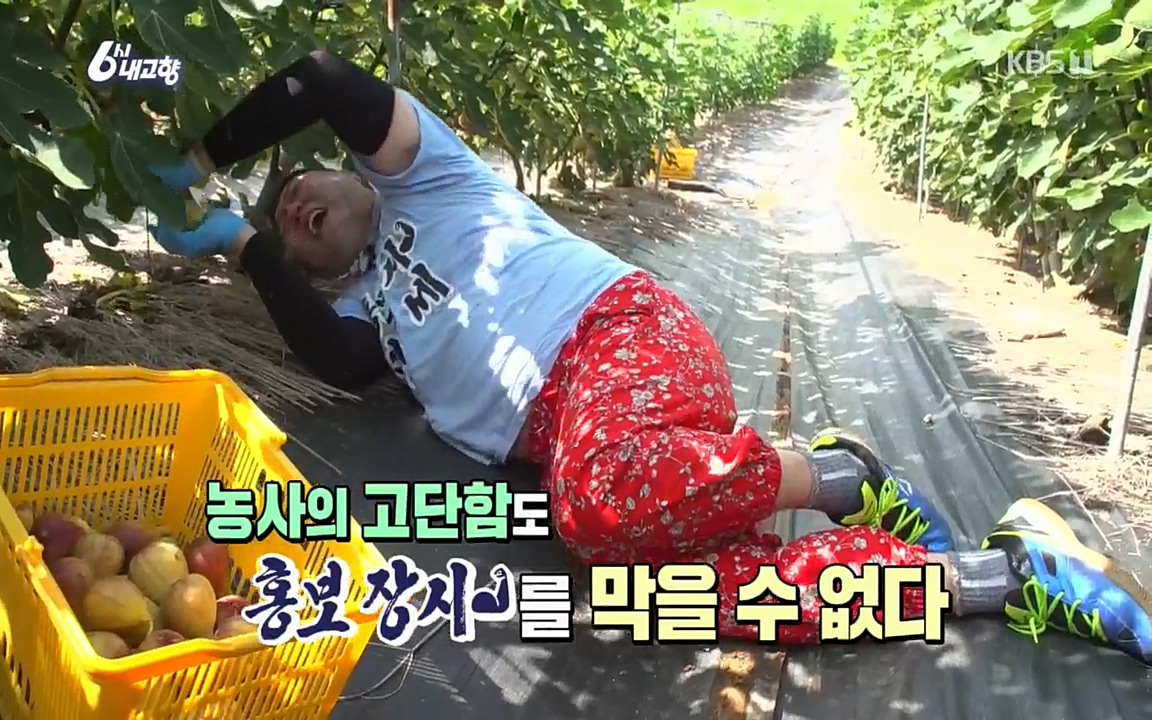 6시 내고향.E7602.220824p.H264-F1RST.mp4_20220825_164339.748.jpg