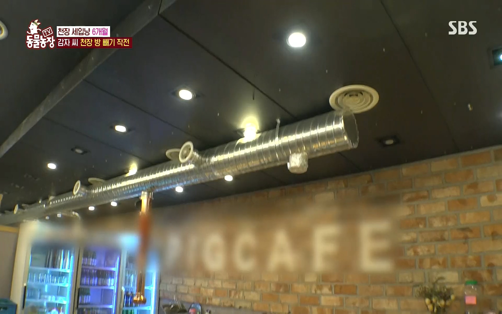 TV 동물농장.E1081.220807p.H264-F1RST.mp4_20220807_213624.932.jpg