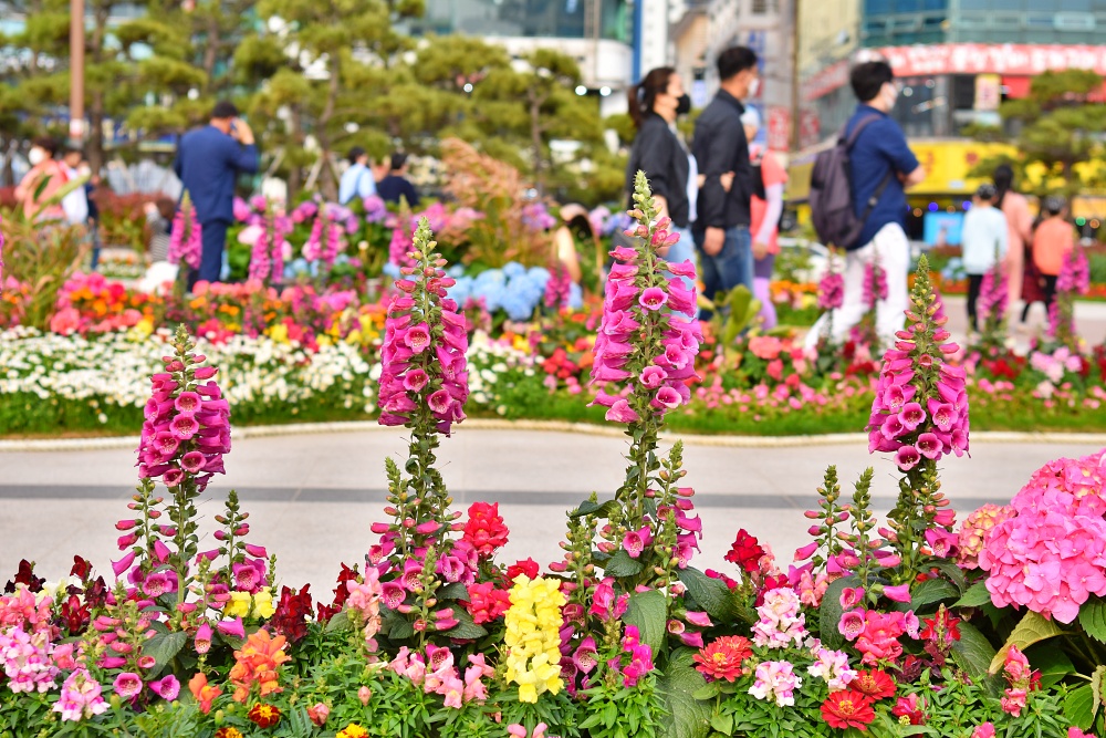 광안리 꽃 축제