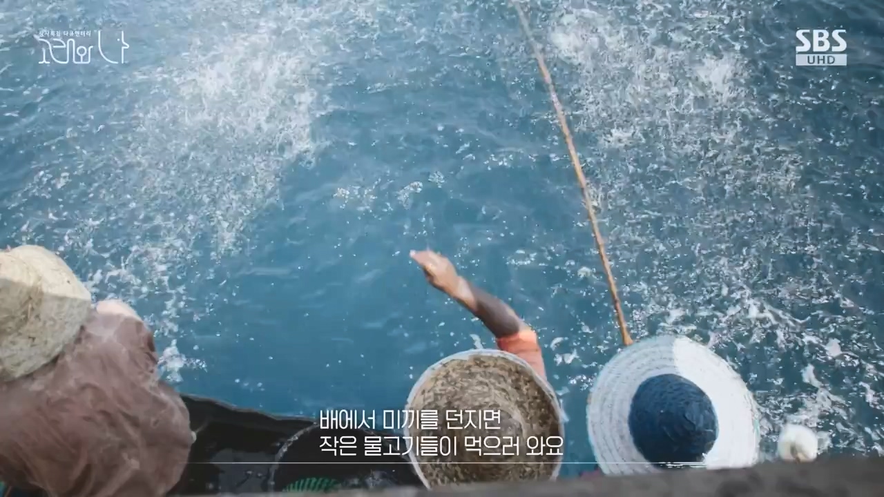 창사특집 다큐멘터리 고래와 나.E02.231126p-NEXT.mp4_20231126_163221.325.jpg