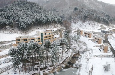 동두천 자연 휴양림 예약 꿀팁 총정리 – 숲나들e로 똑똑하게 즐기기