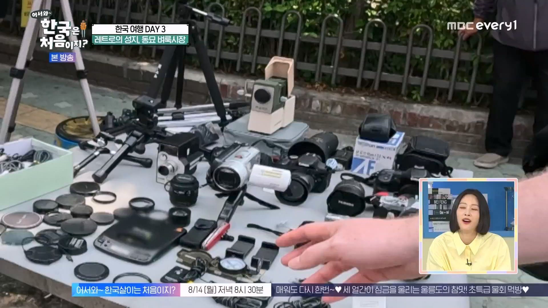 어서와 한국은 처음이지.E275.230810p.WANNA.mp4_20230811_204453.205.jpg