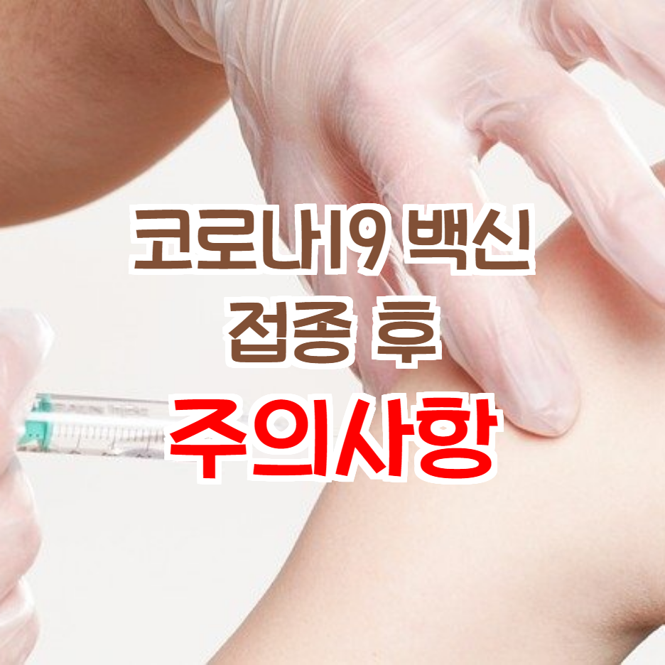  코로나 백신 부작용과 코로나 백신 주의사항 알려드려요