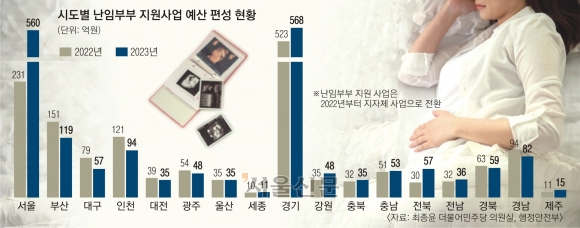  난임 불임 지역 격차 '난임부부지원'