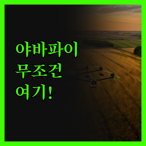 야바파이 로지, 솔직 후기! 그랜드 