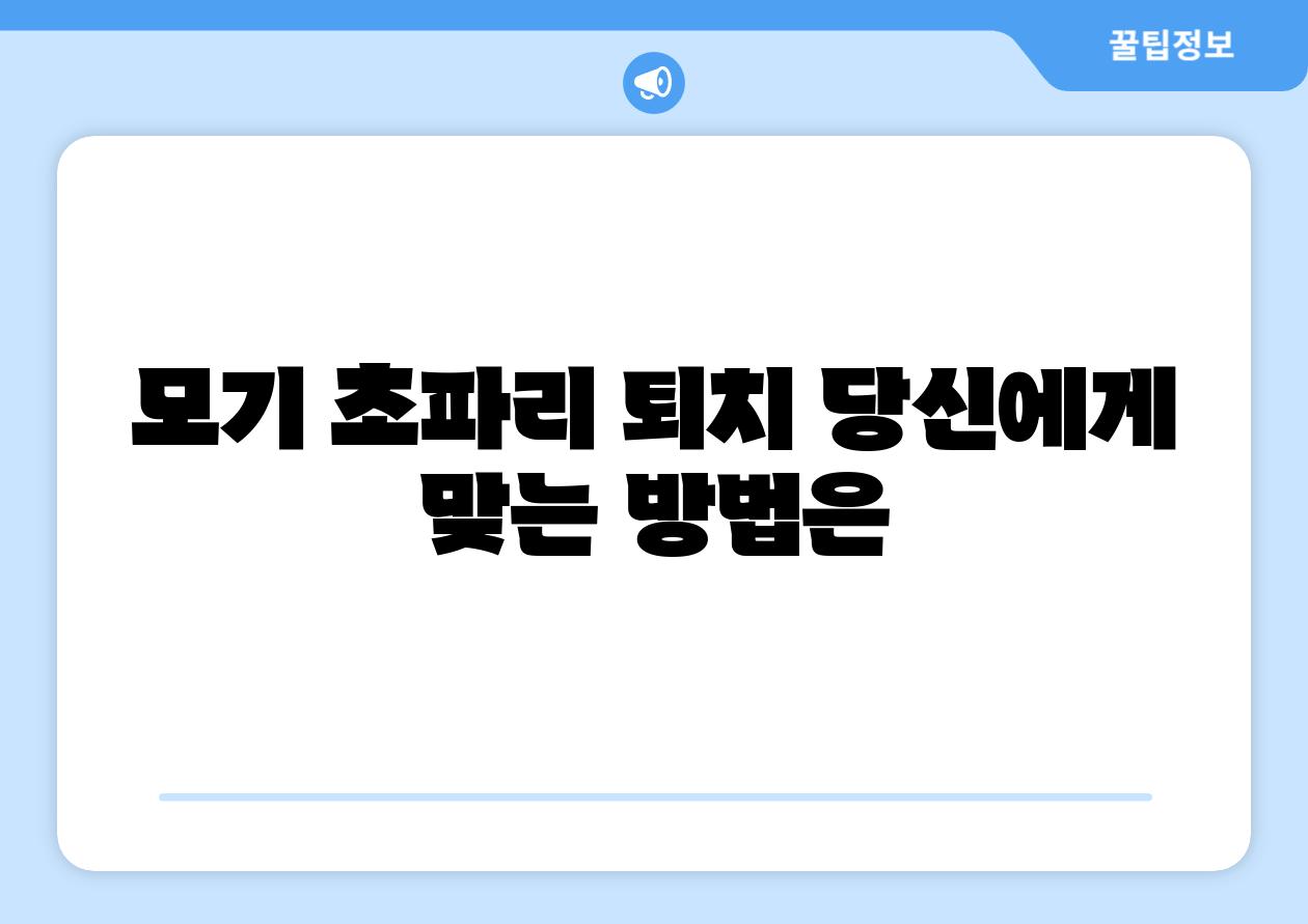 모기 초파리 퇴치 당신에게 맞는 방법은