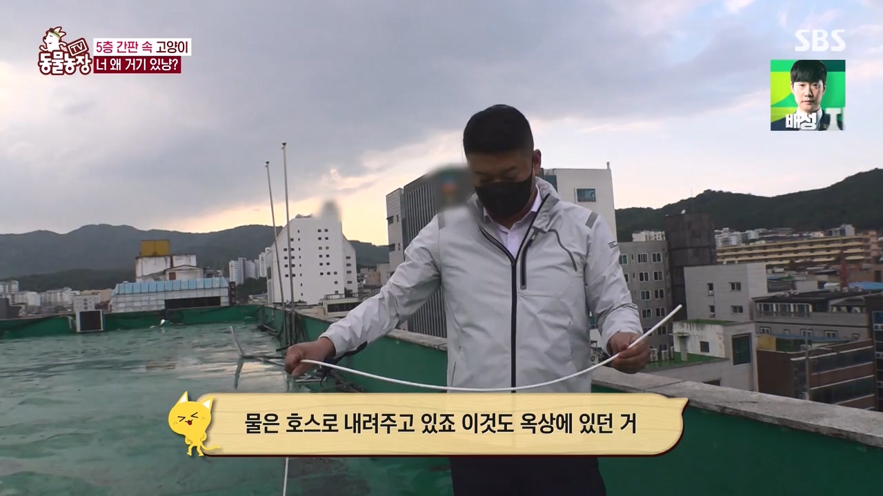 TV 동물농장.E1146.231120p-NEXT.mp4_20231119_175248.669.jpg