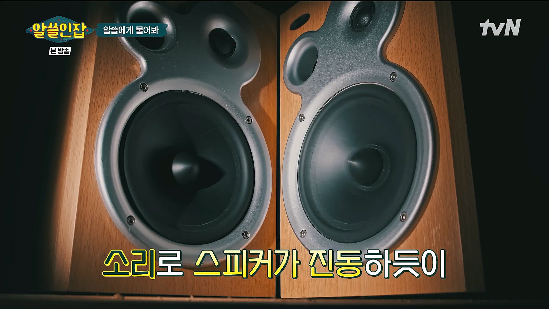 알쓸인잡.E09.230127p.H264-F1RST.mp4_20230202_205533.324.jpg
