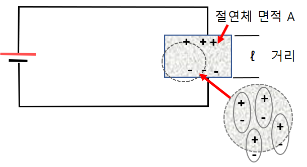 분극현상