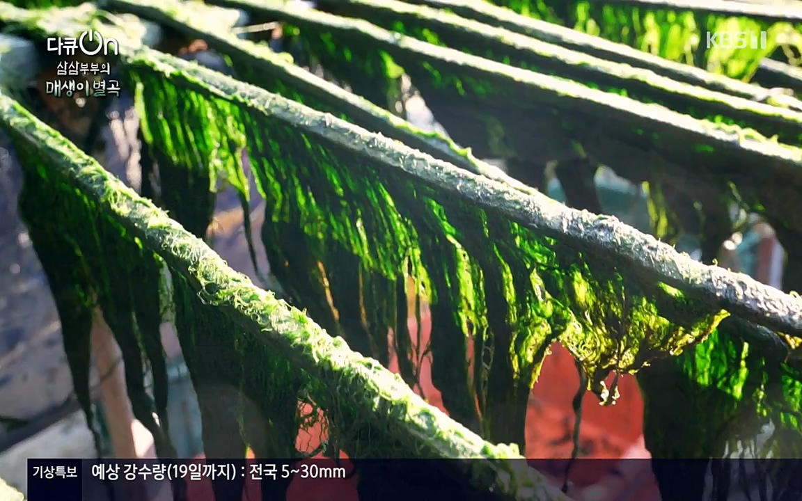 다큐 온.E131p-NEXT.mp4_20220319_173945.885.jpg