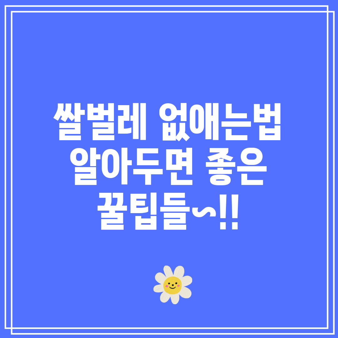 쌀벌레 없애는법 알아두면 좋은 꿀팁들~!!