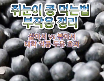 약콩-두유-효능-성분-먹는방법