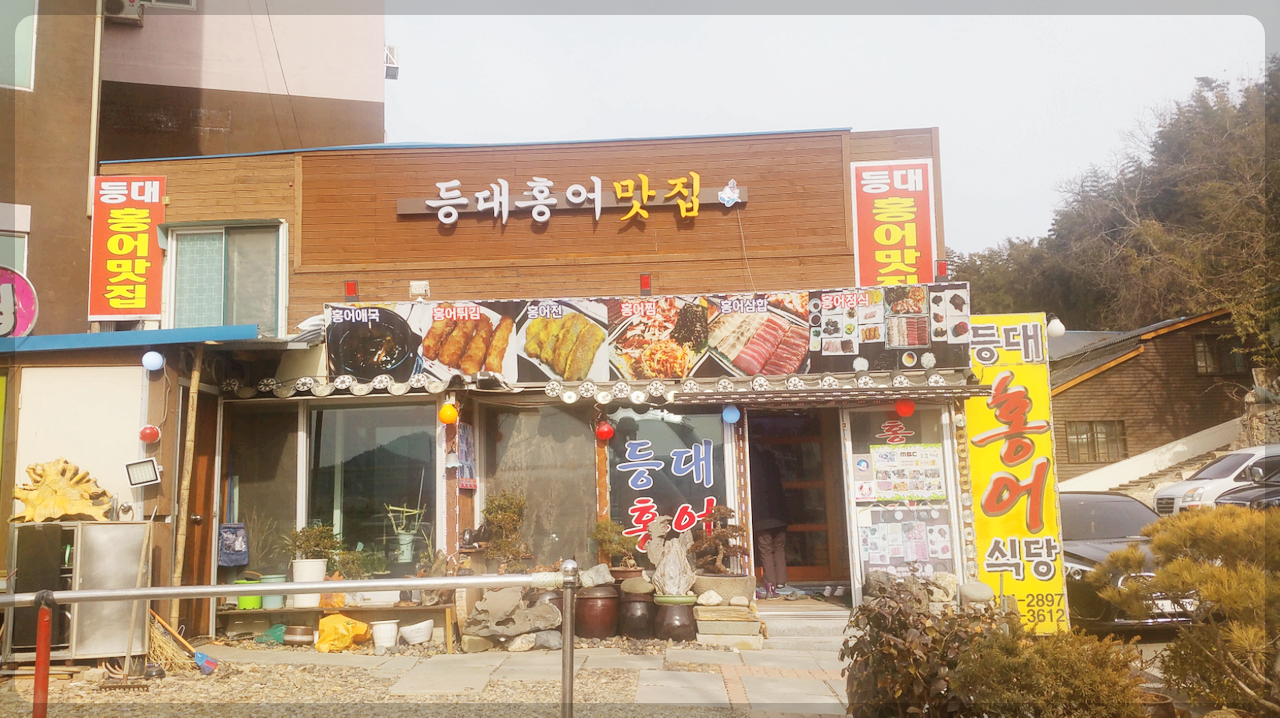 등대홍어 사진 6