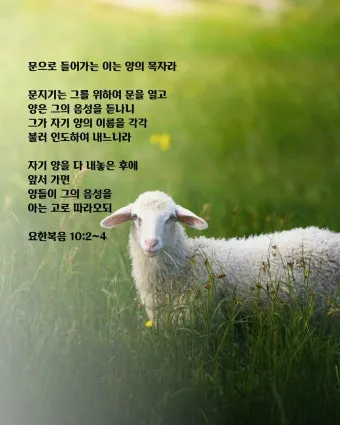 요한복음 20장 그리스도 성경 묵상_27