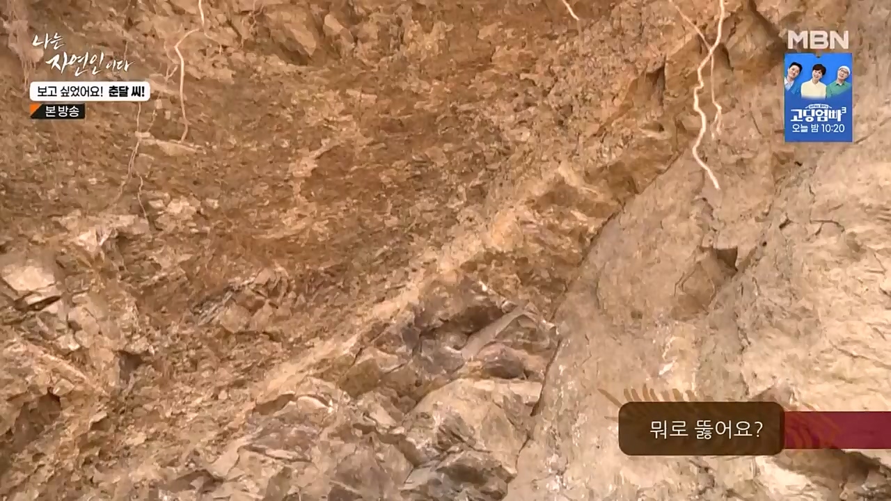 나는 자연인이다.E548.230406p-NEXT.mp4_20230406_195752.855.jpg