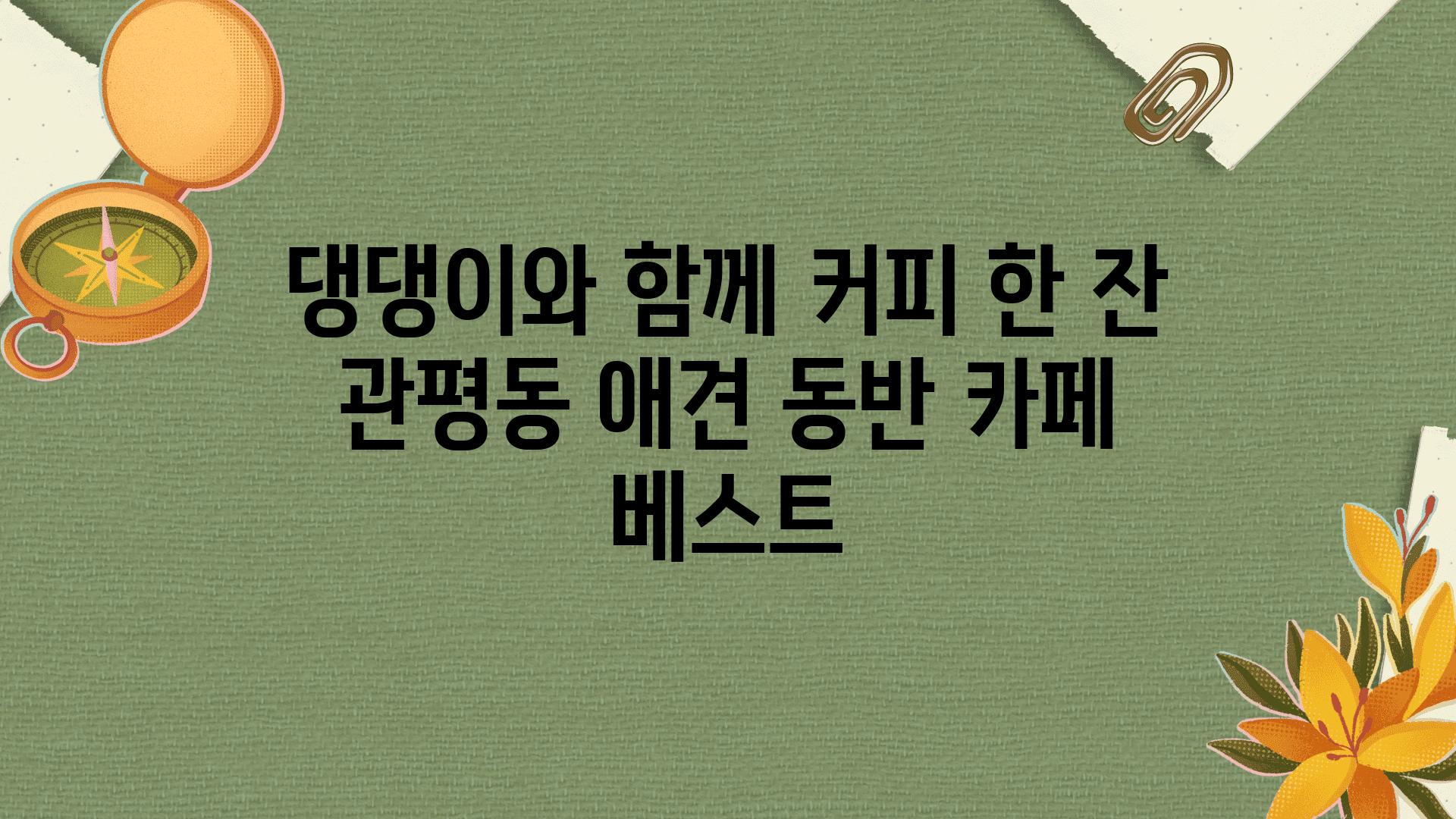 댕댕이와 함께 커피 한 잔 관평동 애견 동반 카페 베스트