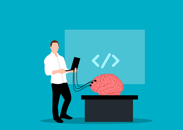 뇌 질환의 이미지