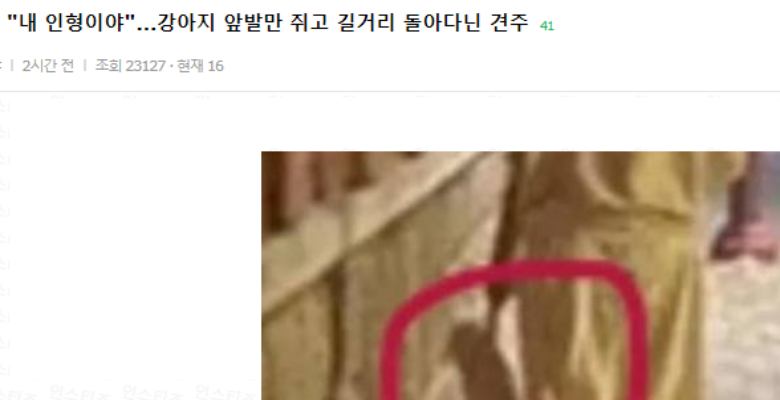  충격주의) 길거리에서 강아지를 보란듯이 학대한 견주