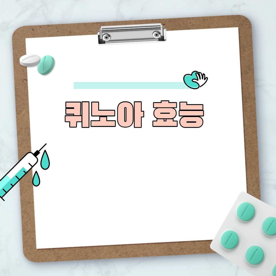  퀴노아 효능