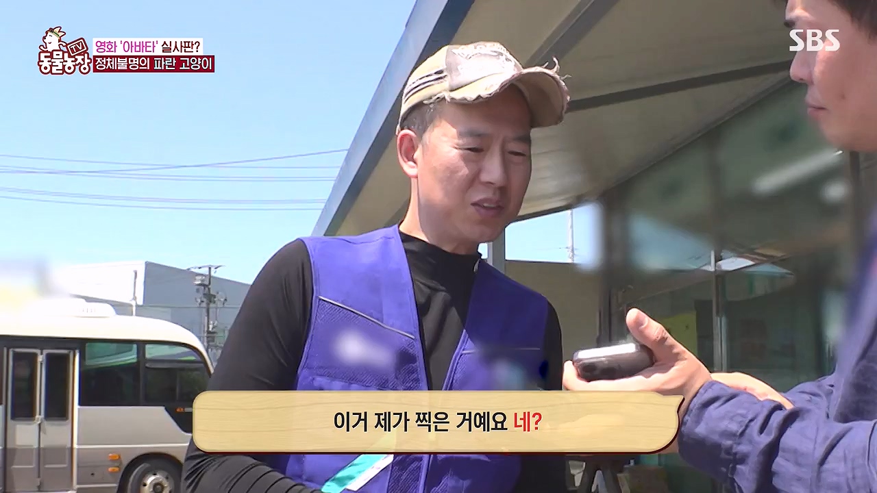 TV 동물농장.E1177.240624p-NEXT.mp4_20240623_163732.202.jpg