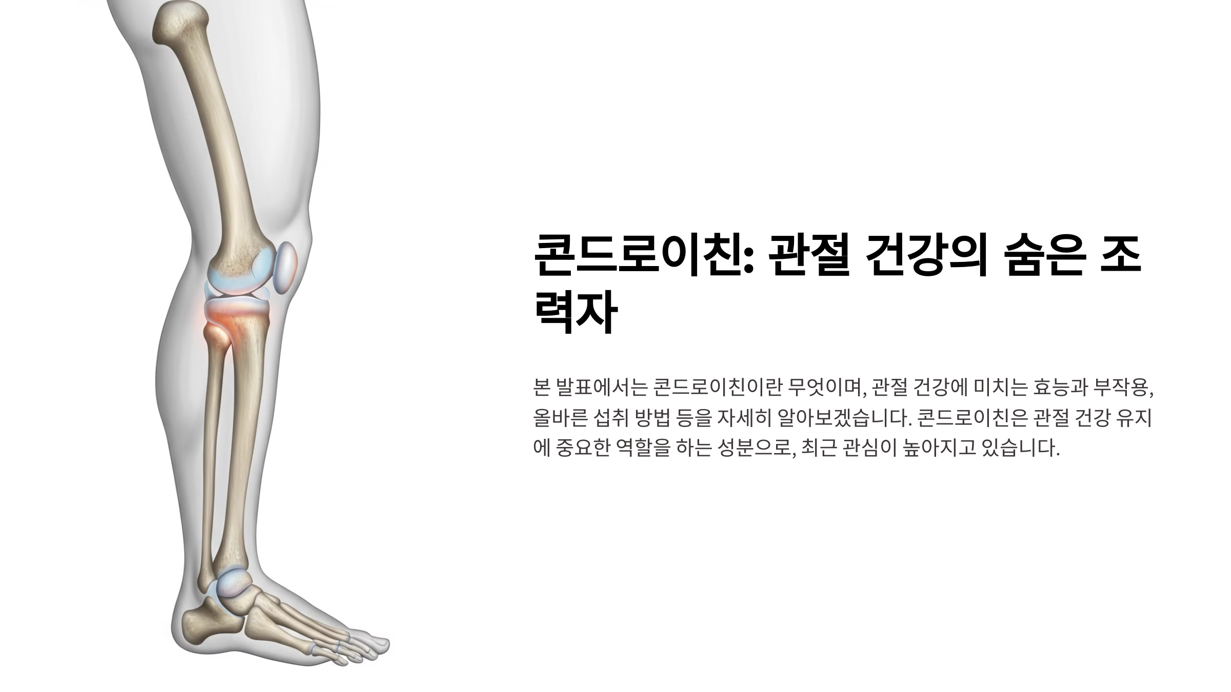 콘드로이친 효능 부작용 잘못 먹으면 독 된다!