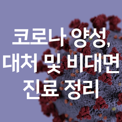  코로나 양성 대처법 총정리, 비대면 진료 및 처방과 격리 해제까지