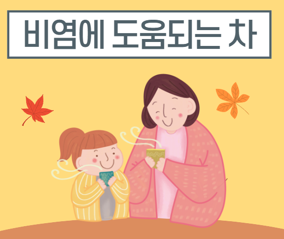 환절기 감기 비염에 좋은 차 추천 | 비염에 도움되는 약초