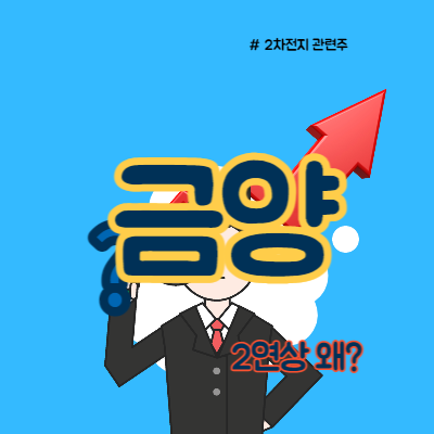  금양 상한가 목표주가는?