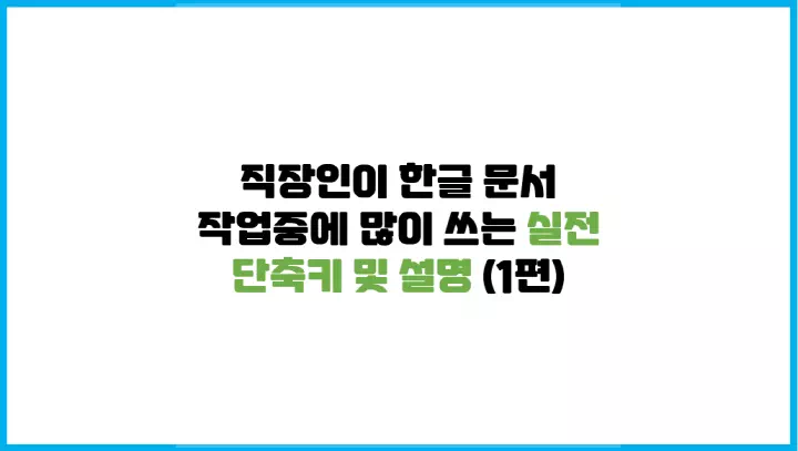  직장인이 한글 문서 작업중에 많이 쓰는 실전 단축키 및 설명 (1편)