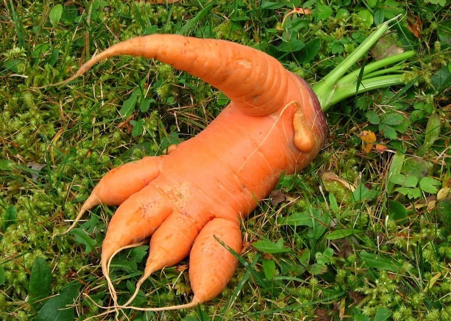 img.jpg