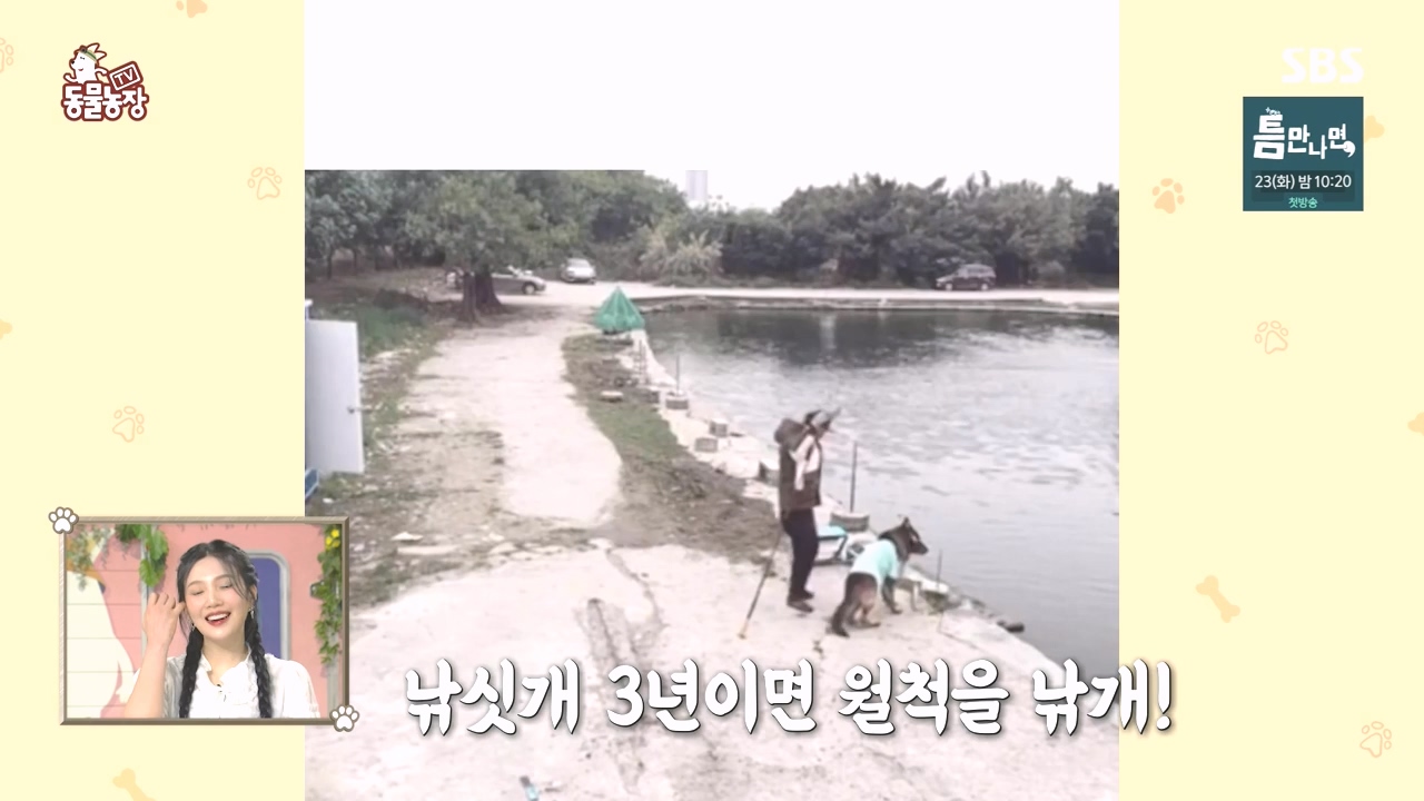 TV 동물농장.E1167.240415p-NEXT.mp4_20240414_160909.603.jpg