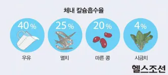 칼슘 영양제 종류 섭취시간 섭취방법_8