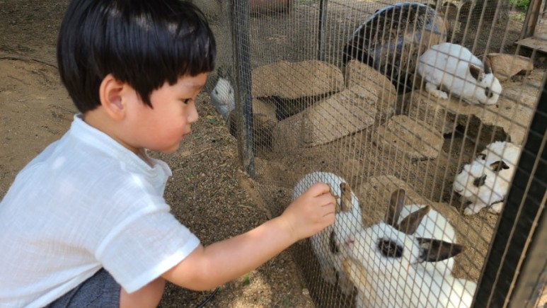 서울 근교 아이와 갈만한곳 [서울근교 갈만한곳] 남양주 산들소리수목원 26