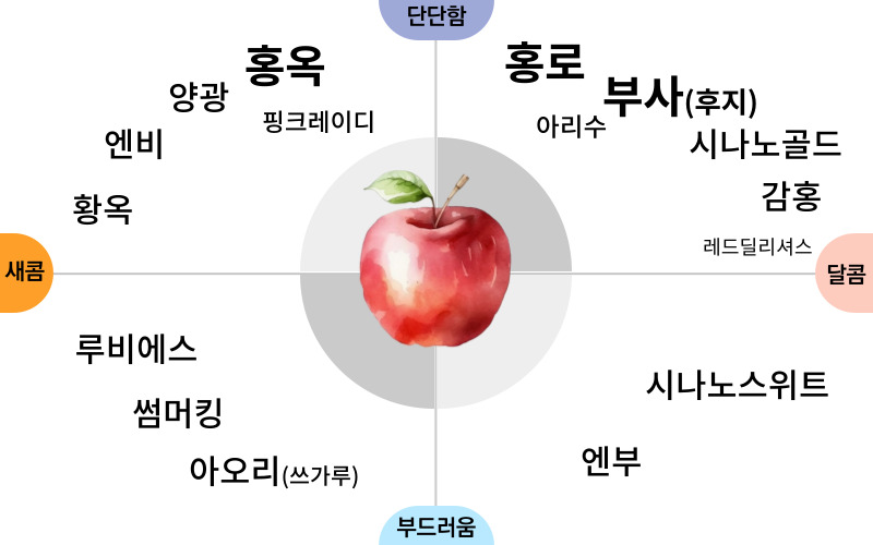 사과 품종 종류 특징 부사 홍옥 홍로 감홍