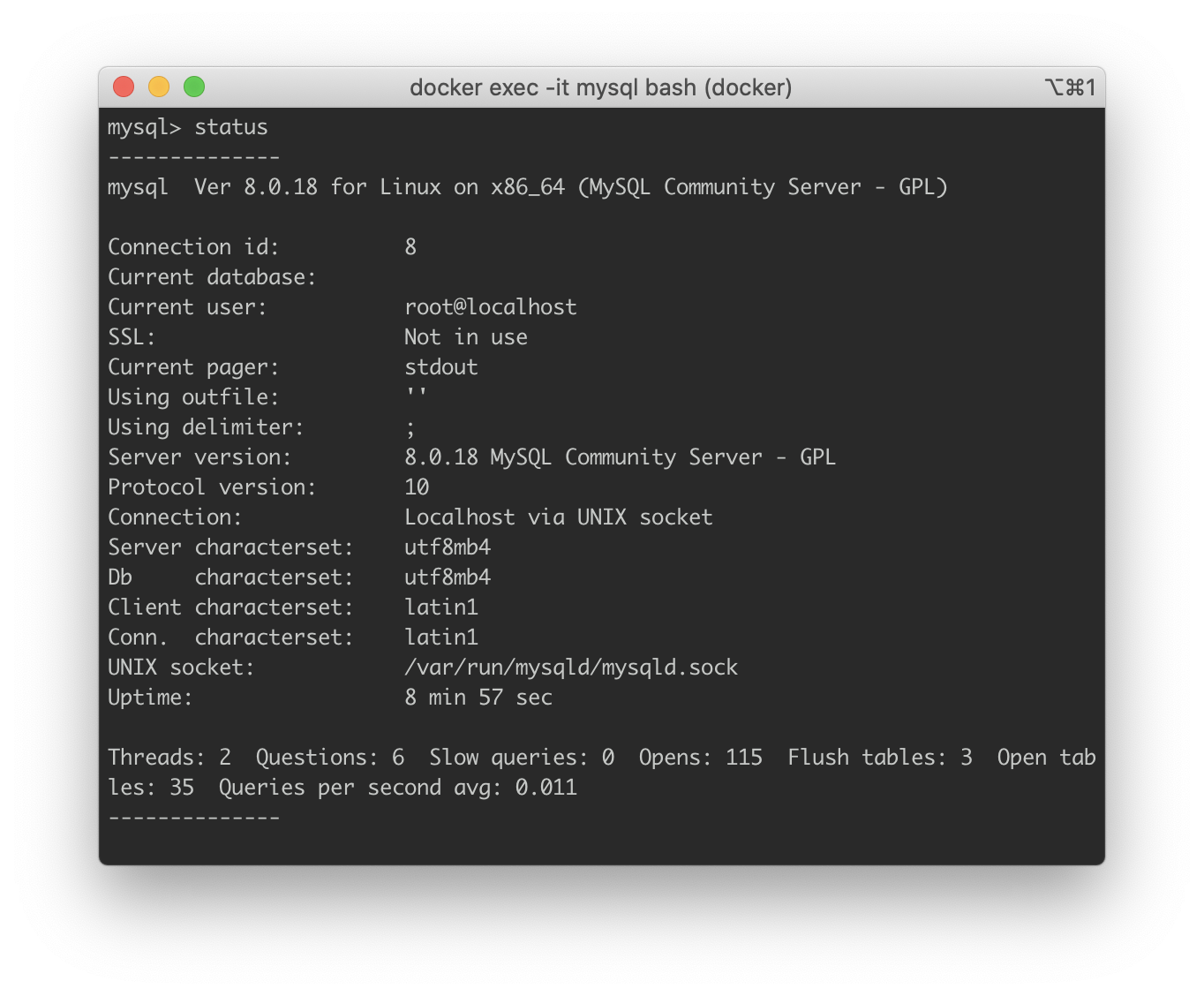 mysql web client docker