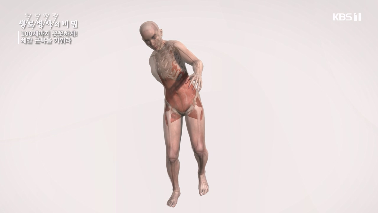 생로병사의 비밀.E885.231012p-NEXT.mp4_20231012_203441.969.jpg