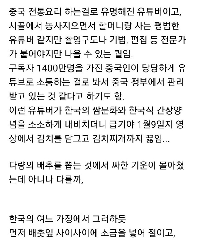  중국에서 인기있는 전통음식 만드는 유튜버