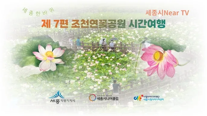 세종 가볼만한곳 베스트10 여행 놀거리 맛집 알아보기_5