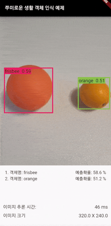 텐서플로우 실시간객체 인식4