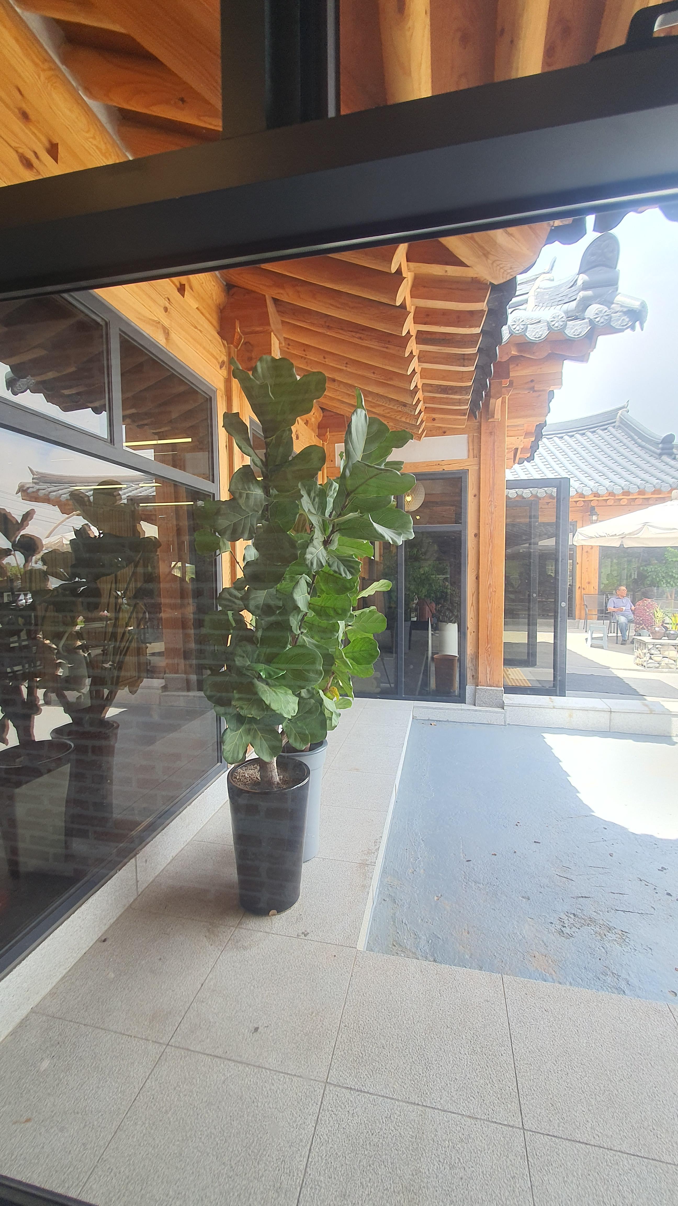 예산 국밥 맛집 한일식당, 70년 전통, 백종원 3대천왕, 소머리국밥,