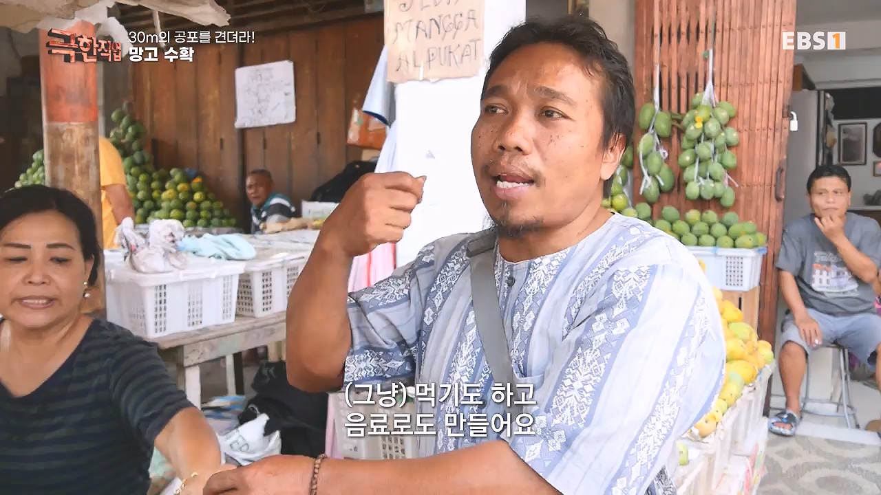 TV - 전 국민의 평생학교 EBS30m의 공포를 견뎌라! 인도네시아 열대과일 수확.mp4_20240103_200549.624.jpg