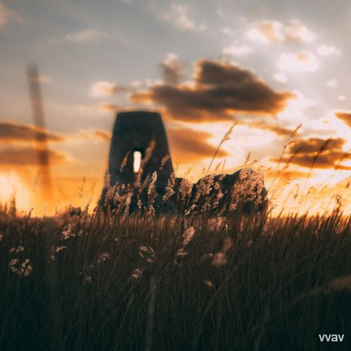 sunset reed