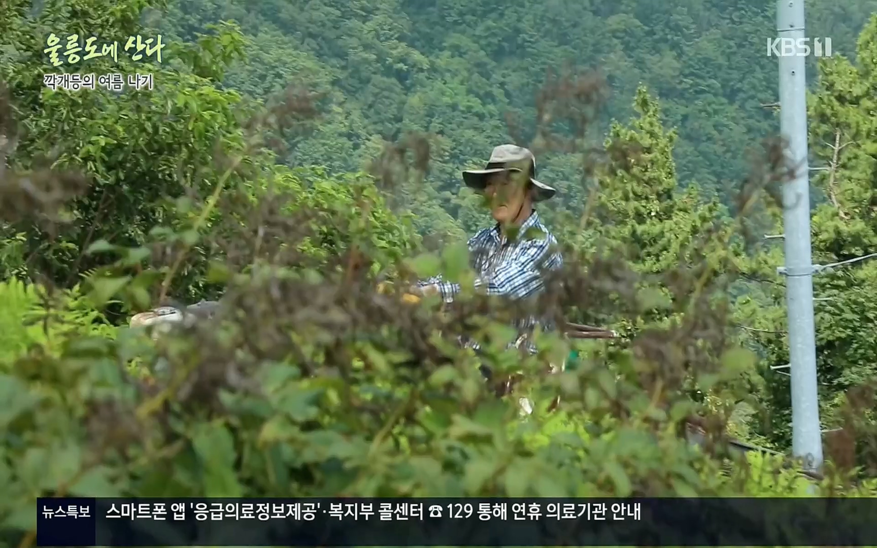 다큐울릉도에산다.E01.220909p.H264-F1RST.mp4_20220912_180558.514.jpg