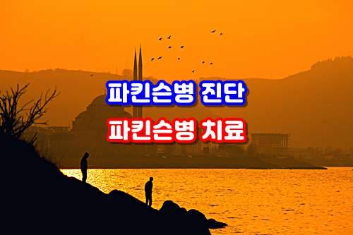  파킨슨병 진단 & 파킨슨병 치료