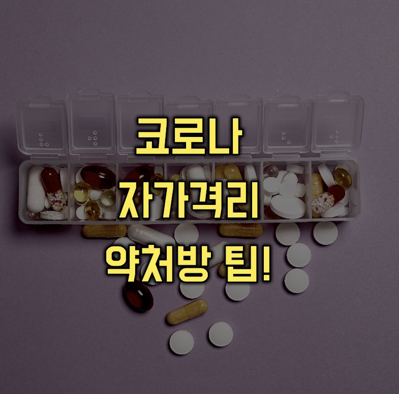  코로나 자가격리 약 처방 팁 