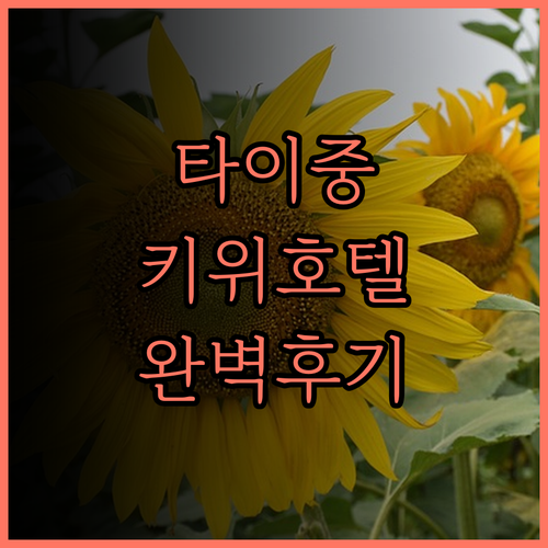 타이중 여행의 시작 키위 익스프레스 