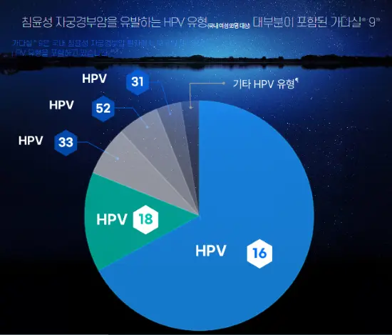 HPV의 고위험군의 번호를 나타낸 원그래프